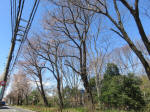 9806_1010-1s200320.jpg