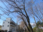 9809_1011-1s200320.jpg