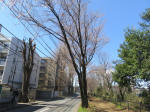 9818_1013s200320.jpg