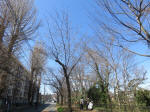 9825_1015s200320.jpg