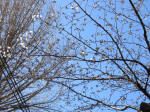 9826_1015s200320.jpg