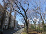 I9828_1017s200320.jpg