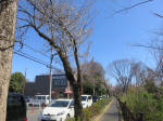 9834_104s200320.jpg