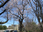 9843_119s200320.jpg