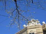 9854_126s200320.jpg