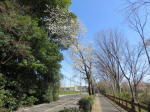 9856_129 s200320.jpg