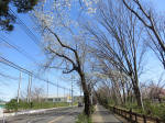 9859_130s200320.jpg