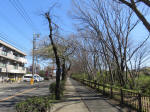 9865_153s200320.jpg