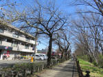9868_154s200320.jpg