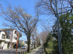 9874_170s200320.jpg