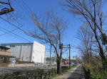 9883_179s200320.jpg