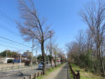 9889_188s200320.jpg