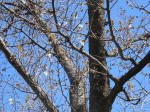 9890_188s200320.jpg