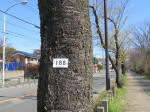 9891.jpg