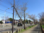 9892_189s200320.jpg