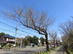 9895_191s200320.jpg