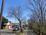 9898_194s200320.jpg