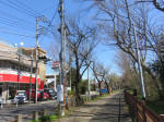 9904_202s200320.jpg