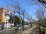 9907_203s200320.jpg