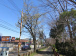 9913_207s200320.jpg