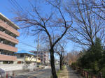 9921_222s200320.jpg