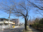 9924_224s200320.jpg