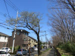 9934_244s200320.jpg