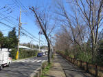 9937_248s200320.jpg