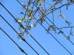 9947_260s200320.jpg