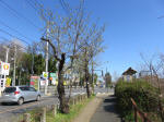 9956_273s200320.jpg