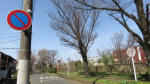 0001_712s200321.jpg