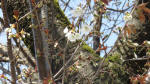 0002_712s200321.jpg