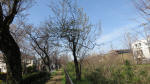 0010_719s200321.jpg