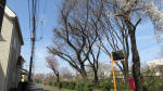 0019_750s200321.jpg