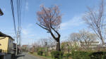 0022_754s200321.jpg