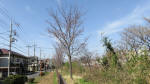 0025_s15s200321.jpg
