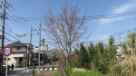 0028_s12s200321.jpg