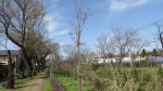 0038_ks43s200321.jpg