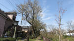 0041_772s200321.jpg