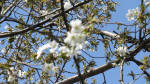 0042_772s200321.jpg