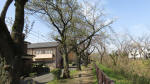 0044_774s200321.jpg