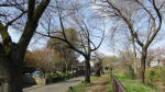 0047_783s200321.jpg