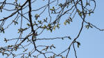 0048_783s200321.jpg