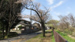 0050_785s200321.jpg