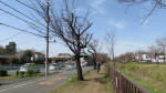 0059_801s200321.jpg