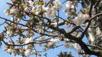 0069_813s200321.jpg