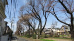0083_827s200321.jpg