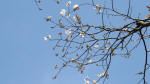 0084_827s200321.jpg