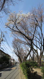 0086_830s200321.jpg