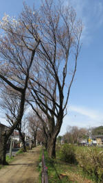 0089_831s200321.jpg